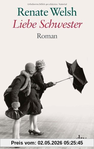 Liebe Schwester: Roman