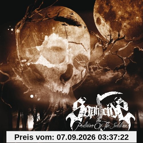 Perdition of the Sublime