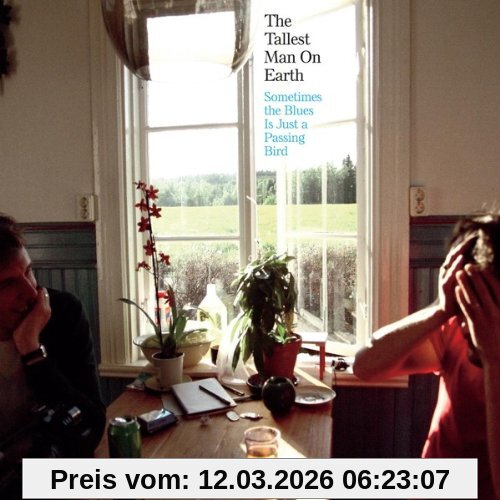 the Tallest Man on Earth Sometimes The Blues Is (...) Ep