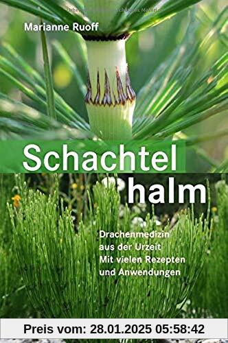 Schachtelhalm: Drachenmedizin aus der Urzeit. Mit vielen Rezepten und Anwendungen