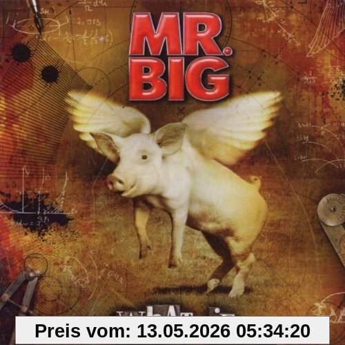 Mr. Big What If...