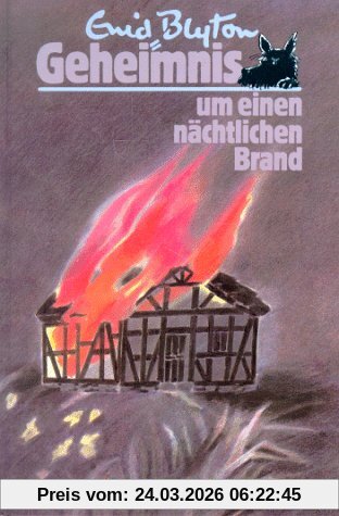 Geheimnis . . ., Bd.1, Geheimnis um einen nächtlichen Brand