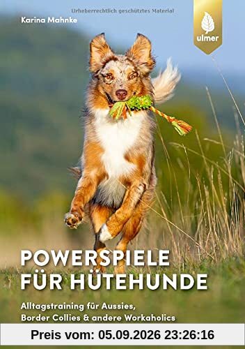 Powerspiele für Hütehunde: Alltagstraining für Aussies, Border Collies & andere Workaholics
