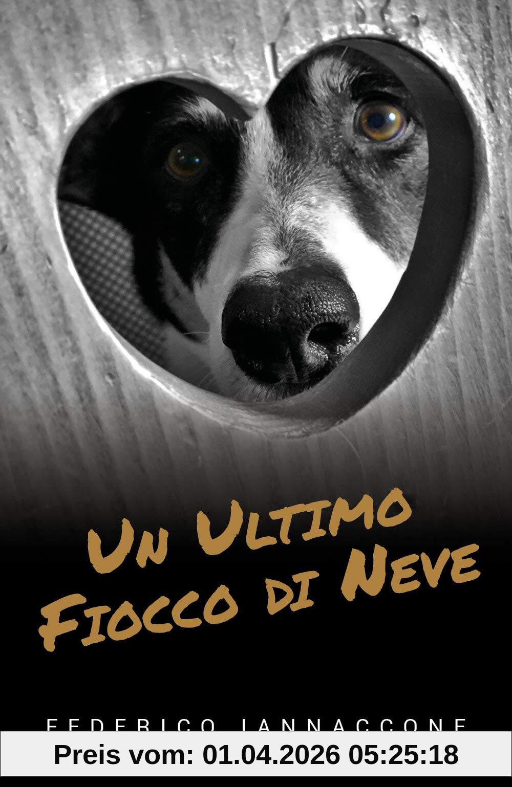 Un ultimo fiocco di neve