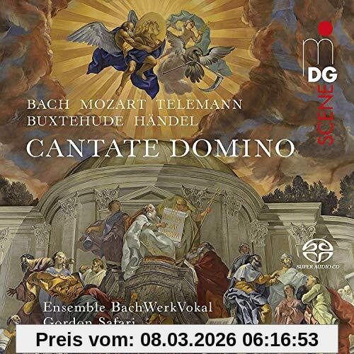 Ensemble BachWerkVokal Cantate Domino