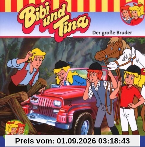 Der Grosse Bruder
