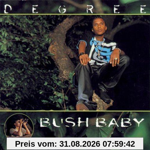 Bush Baby