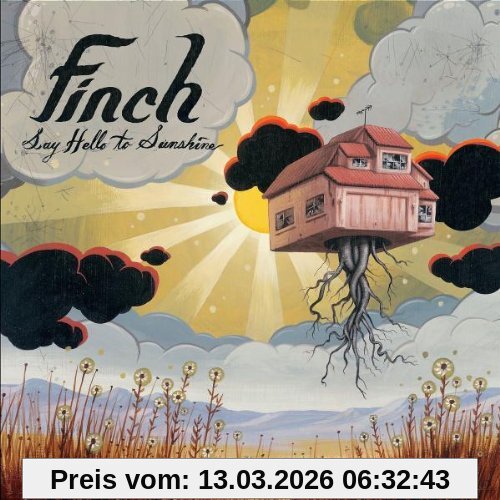 Finch Say Hello To Sunshine