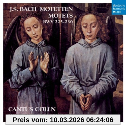 Cantus Cölln Motetten