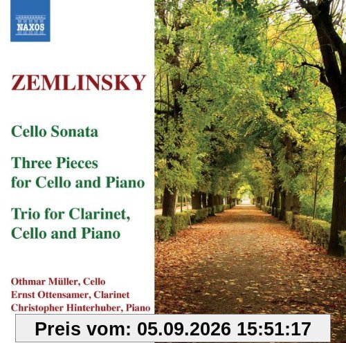 Kammermusik für Cello