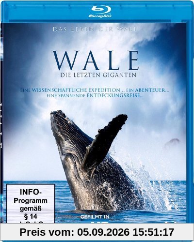 Wale - Die letzten Giganten [Blu-ray]