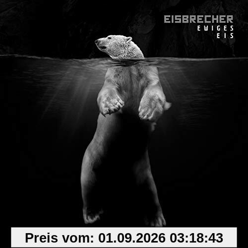 Ewiges Eis-15 Jahre Eisbrecher