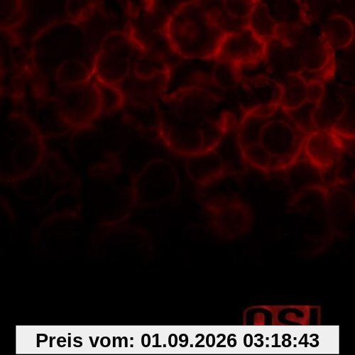 Blood