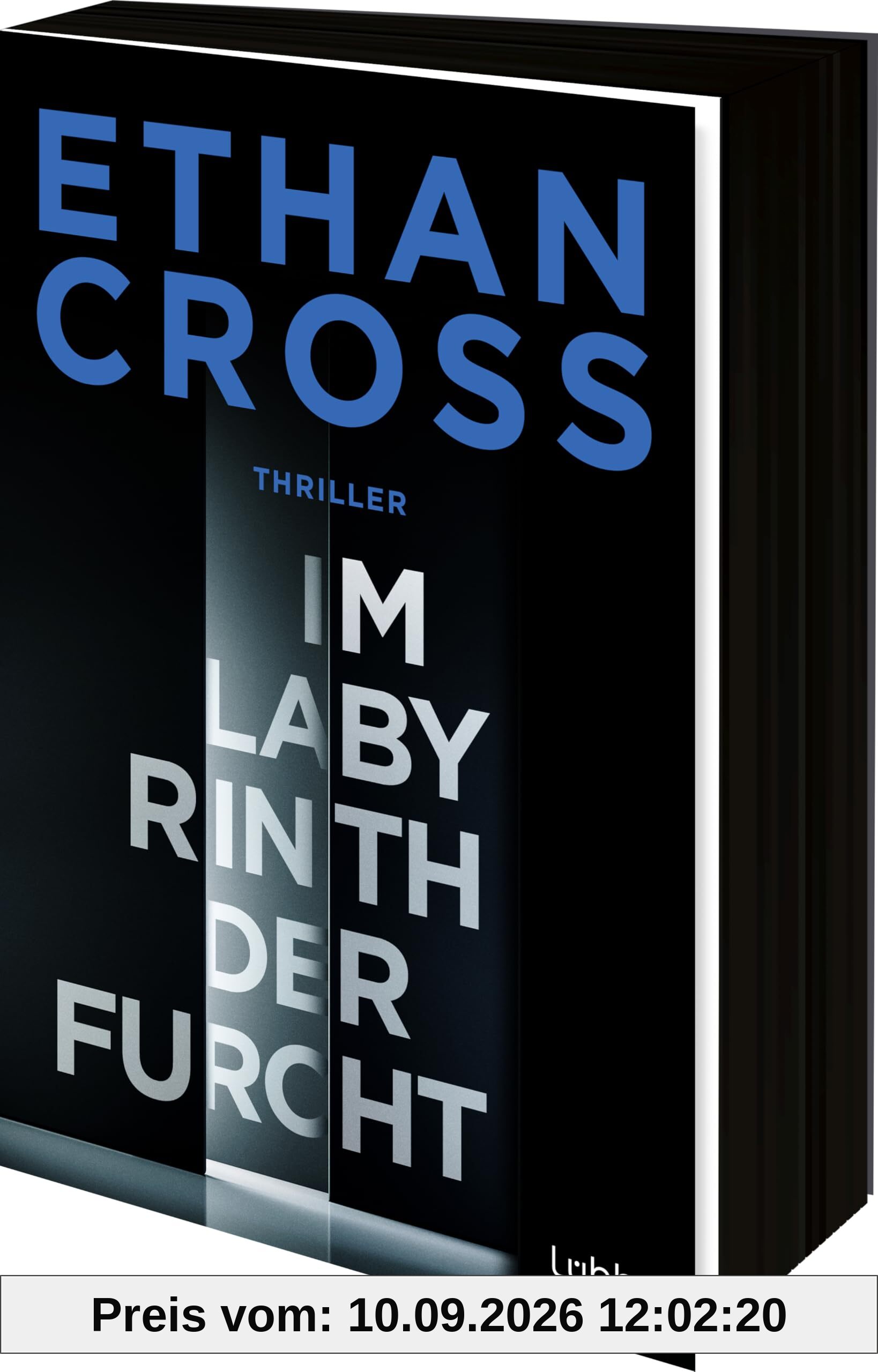 Im Labyrinth der Furcht: Thriller. Ein neuer Francis-Ackerman-jr-Thriller vom Bestseller-Autor (Ein Ackerman-Thriller. Die HÜTER-Reihe, Band 2)