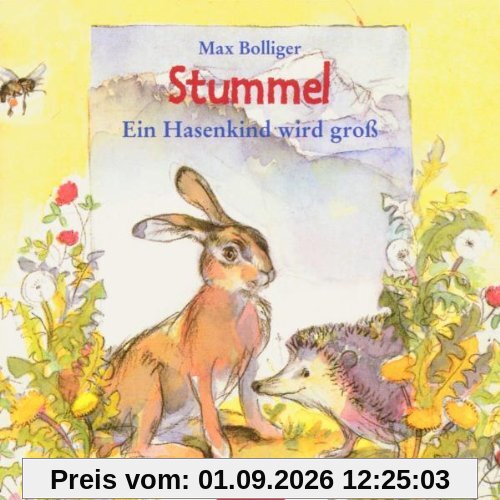 Stummel, 1 CD-Audio
