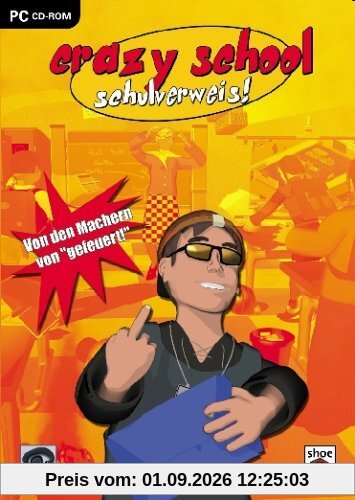Crazy School
