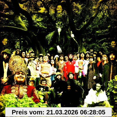 Devendra Banhart Cripple Crow
