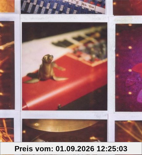 Back To Panda Mountains (CD+DVD)