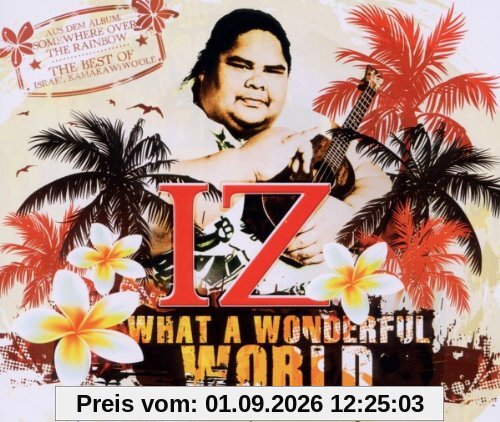What a Wonderful World (2-Track)