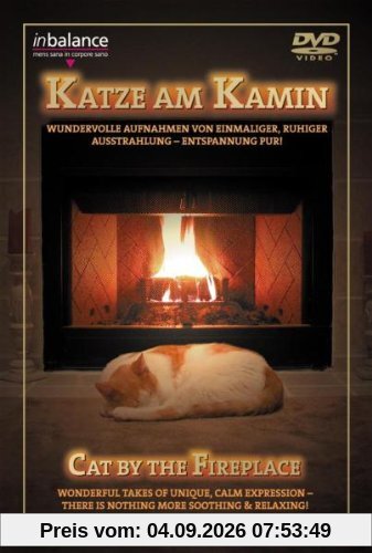 Katze am Kamin