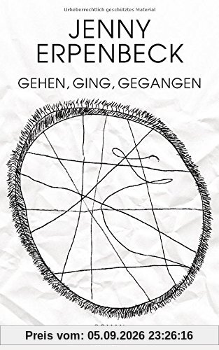 Gehen, ging, gegangen: Roman