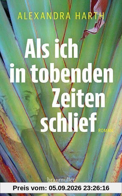 Als ich in tobenden Zeiten schlief