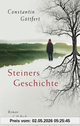 Steiners Geschichte: Roman
