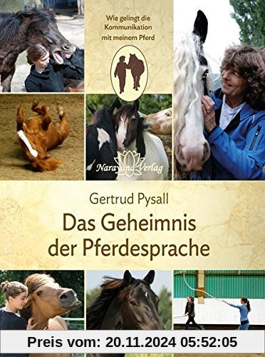 Das Geheimnis der Pferdesprache: Wie gelingt die Kommunikation mit meinem Pferd