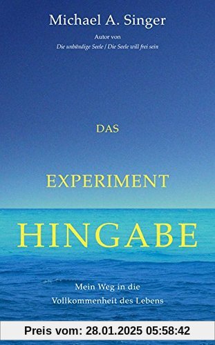 Das Experiment Hingabe: Mein Weg in die Vollkommenheit des Lebens