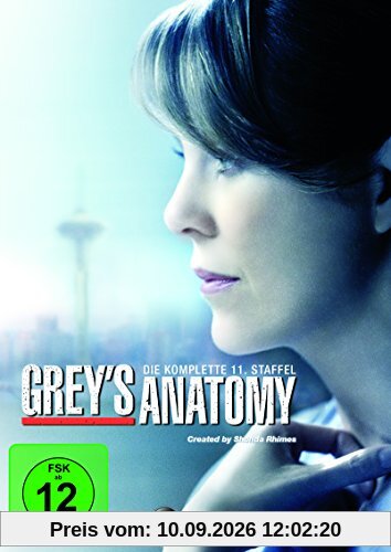 Grey's Anatomy: Die jungen Ärzte - Die komplette 11. Staffel [6 DVDs]
