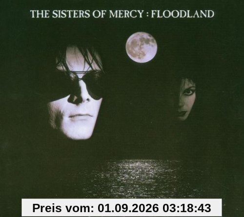 Floodland