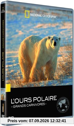 L'ours polaire grands carnivores [FR Import]