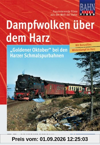 Dampfwolken über dem Harz