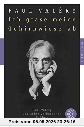 Ich grase meine Gehirnwiese ab: Paul Valéry und seine verborgenen Cahiers (Fischer Klassik)