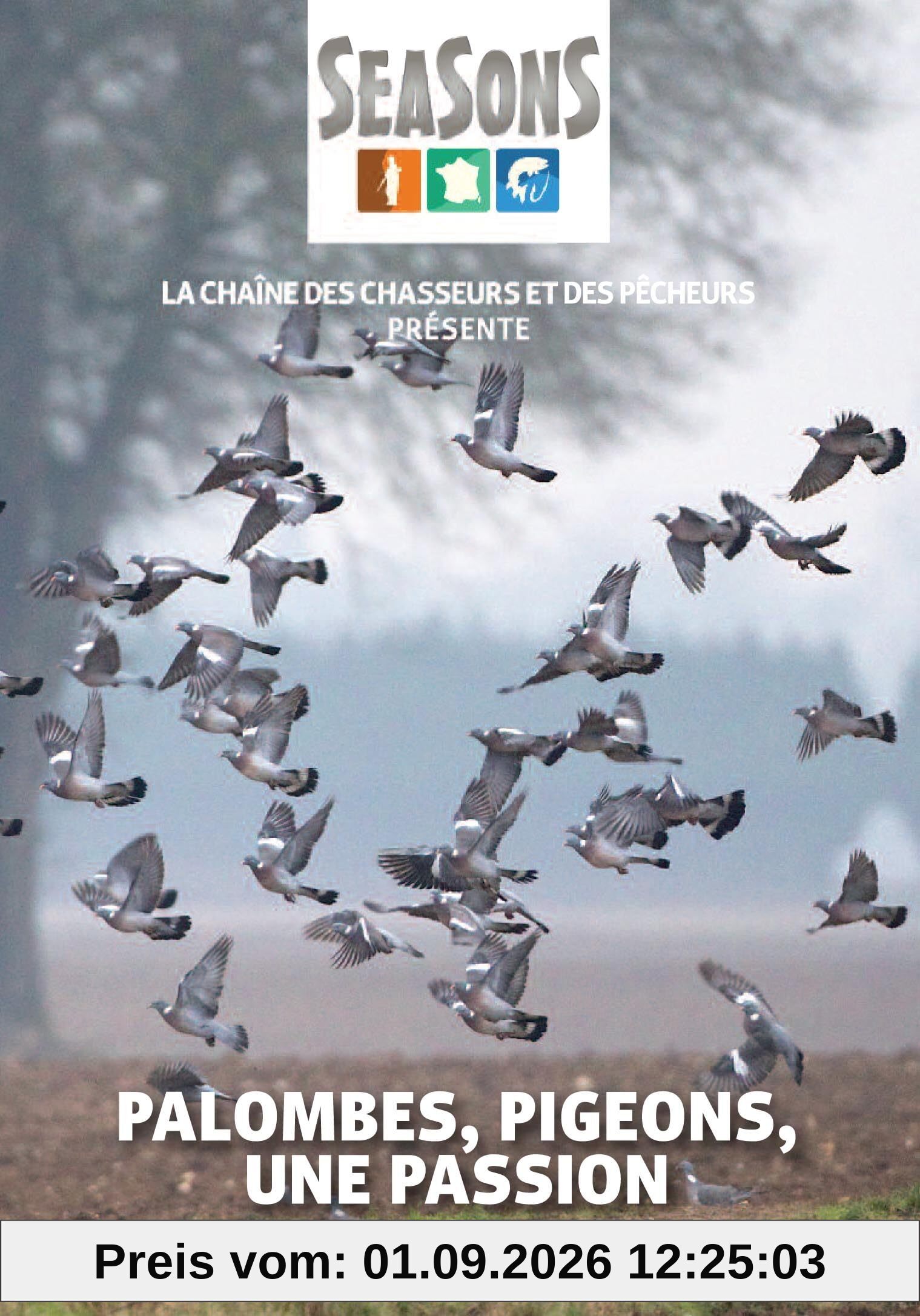 Paombes, Pigeons : Une Passion