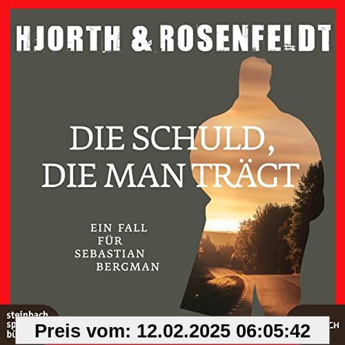 Die Schuld, die man trägt: Ein Fall für Sebastian Bergmann (Die Fälle des Sebastian Bergman)