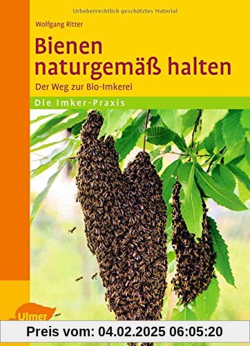 Bienen naturgemäß halten: Der Weg zur Bio-Imkerei