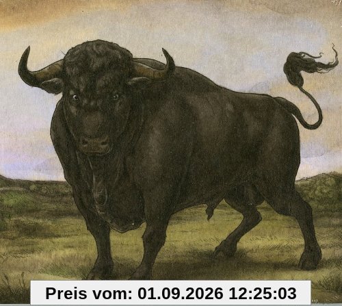 San Fermin