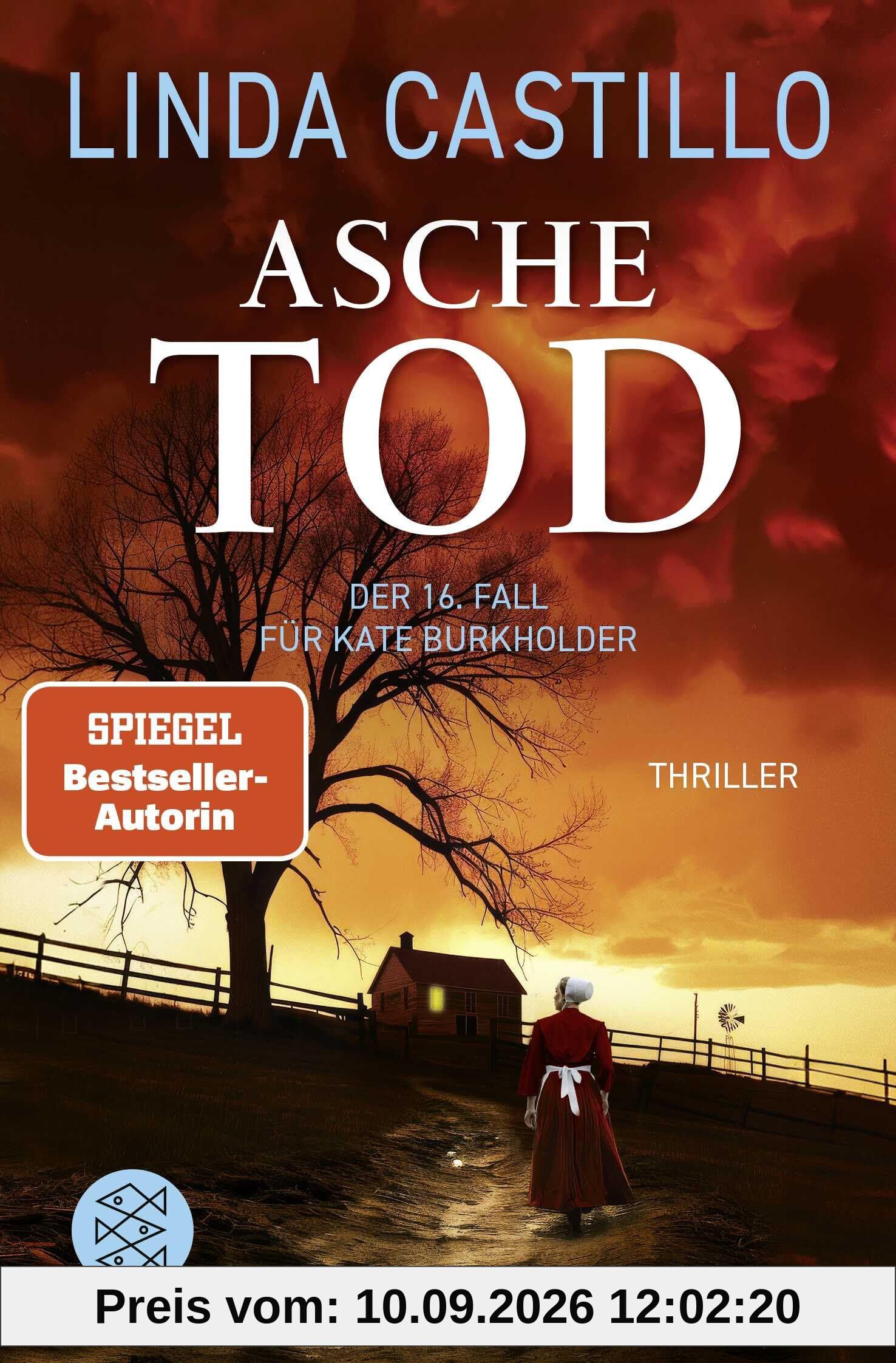 Aschetod: Thriller | Spannender Thriller bei den Amischen (Kate Burkholder ermittelt, Band 16)