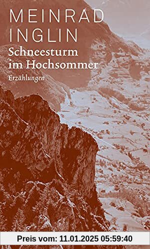 Schneesturm im Hochsommer: Erzählungen