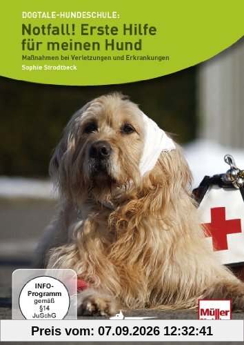 Notfall! Erste Hilfe für meinen Hund: Maßnahmen bei Verletzungen und Erkrankungen