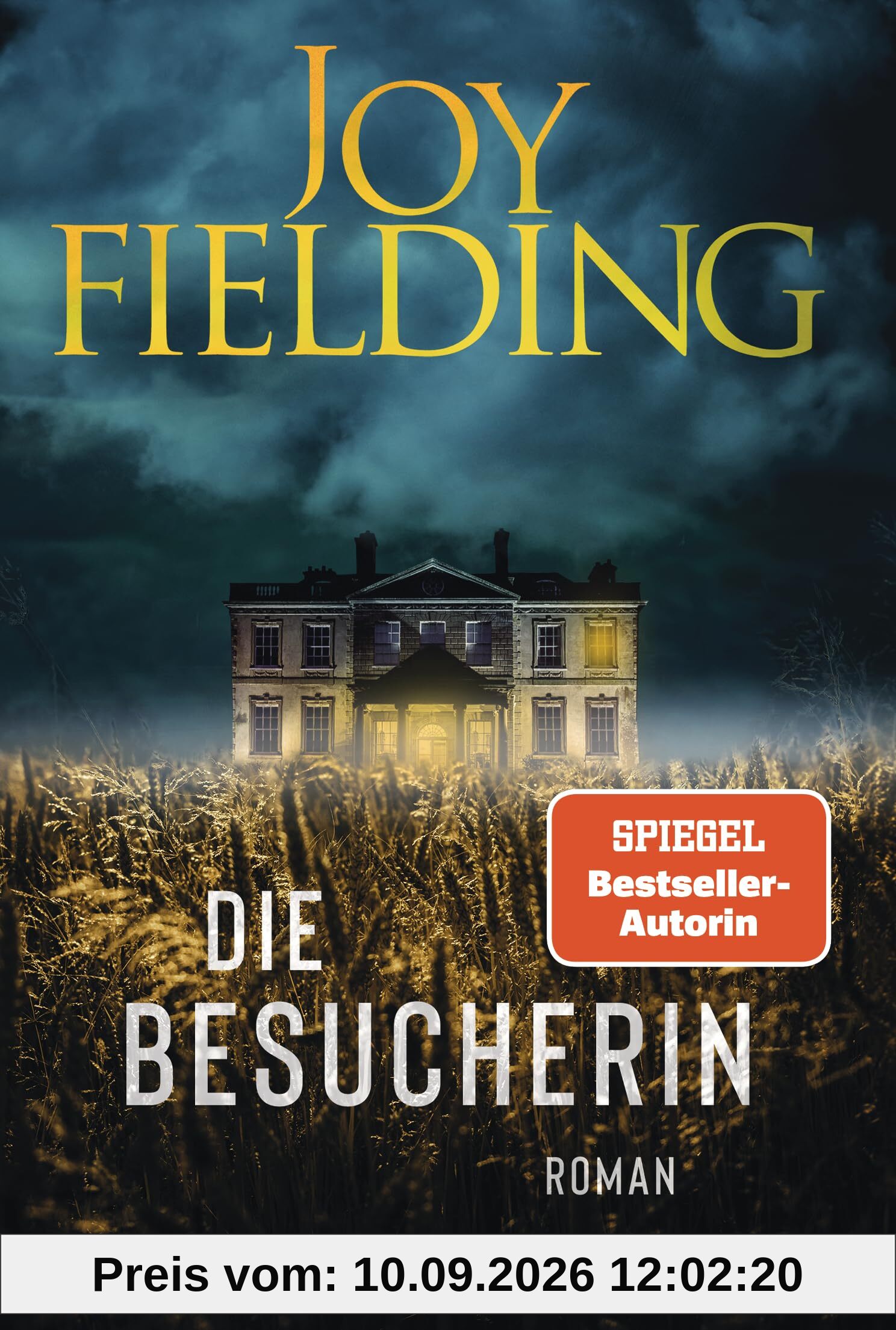 Die Besucherin: Roman - Der Bestseller von SPIEGEL-Bestsellerautorin Joy Fielding jetzt im Taschenbuch