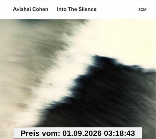 Into The Silence