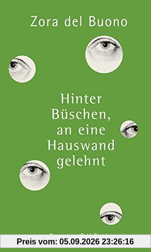 Hinter Büschen, an eine Hauswand gelehnt: Roman