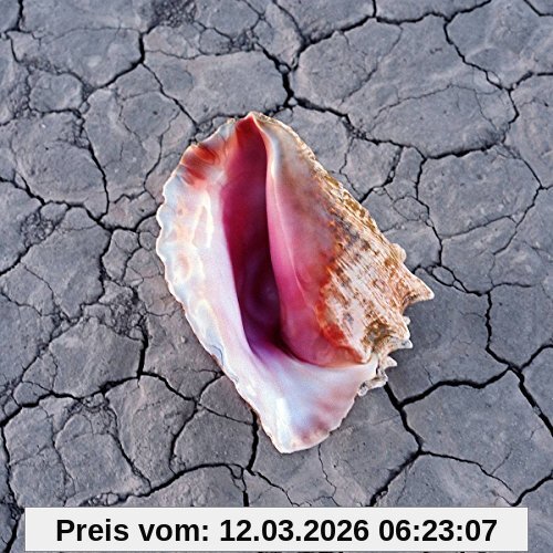 the Killers Wonderful (Deluxe Edt.)