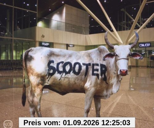 Behind the Cow