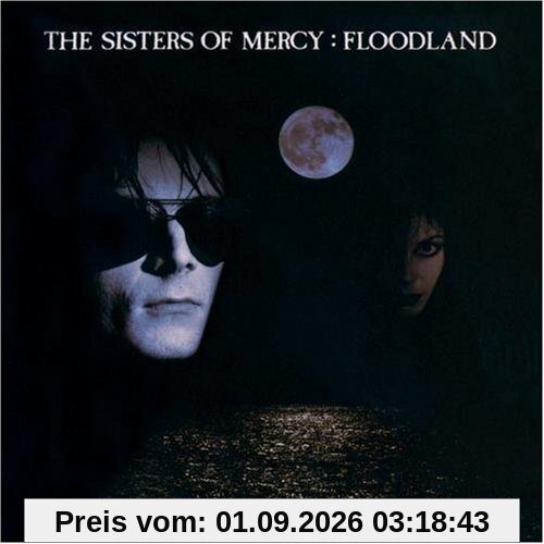 Floodland