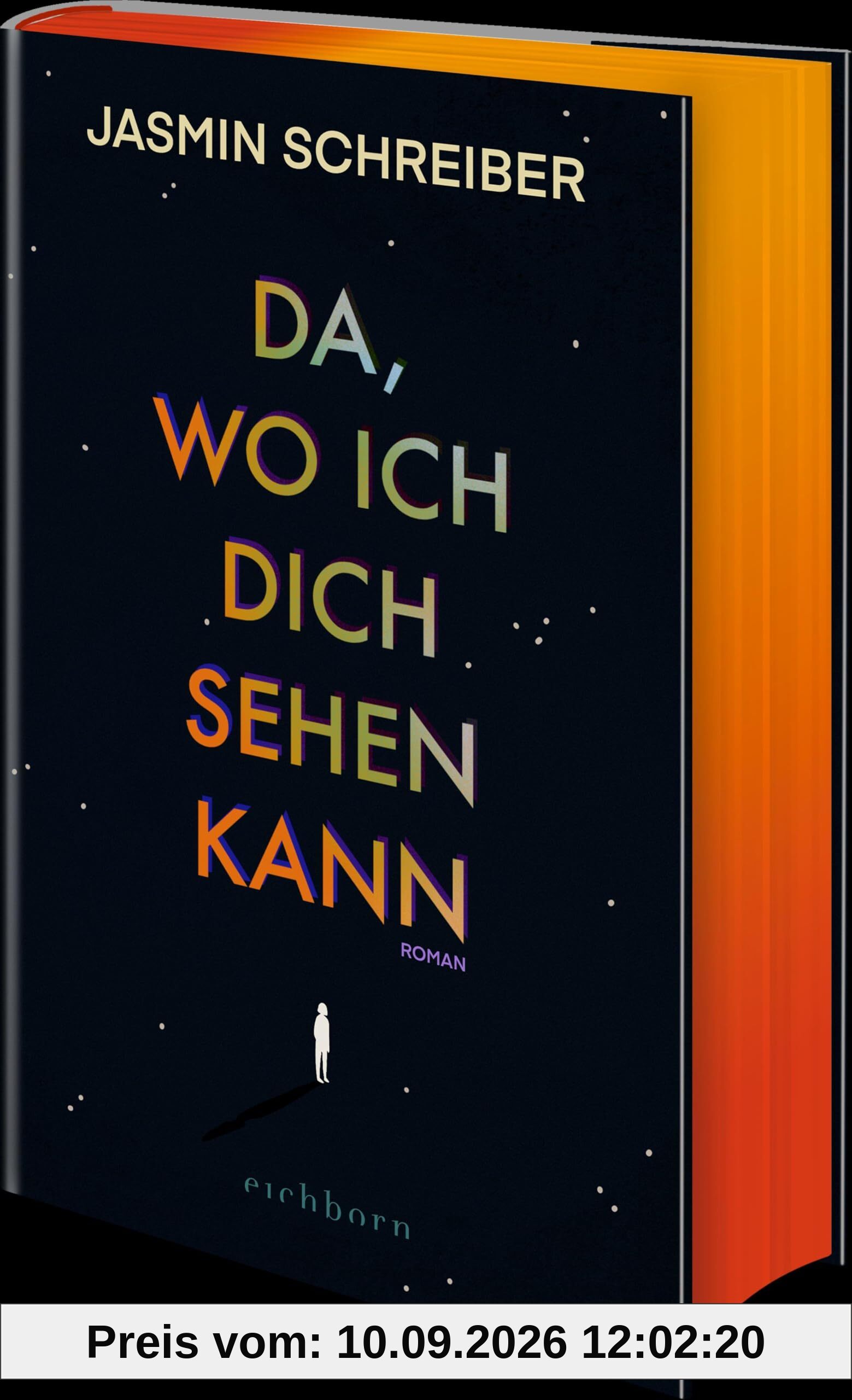 Da, wo ich dich sehen kann: Roman. Eine bewegende Suche nach der verlorenen Mutter