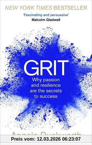 Angela Duckworth Grit, Why Passion And Resilience Are The Secrets To Success