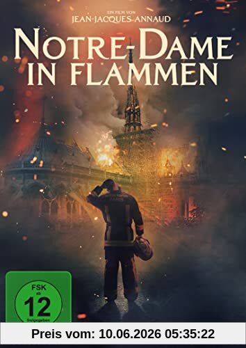 Notre-Dame in Flammen